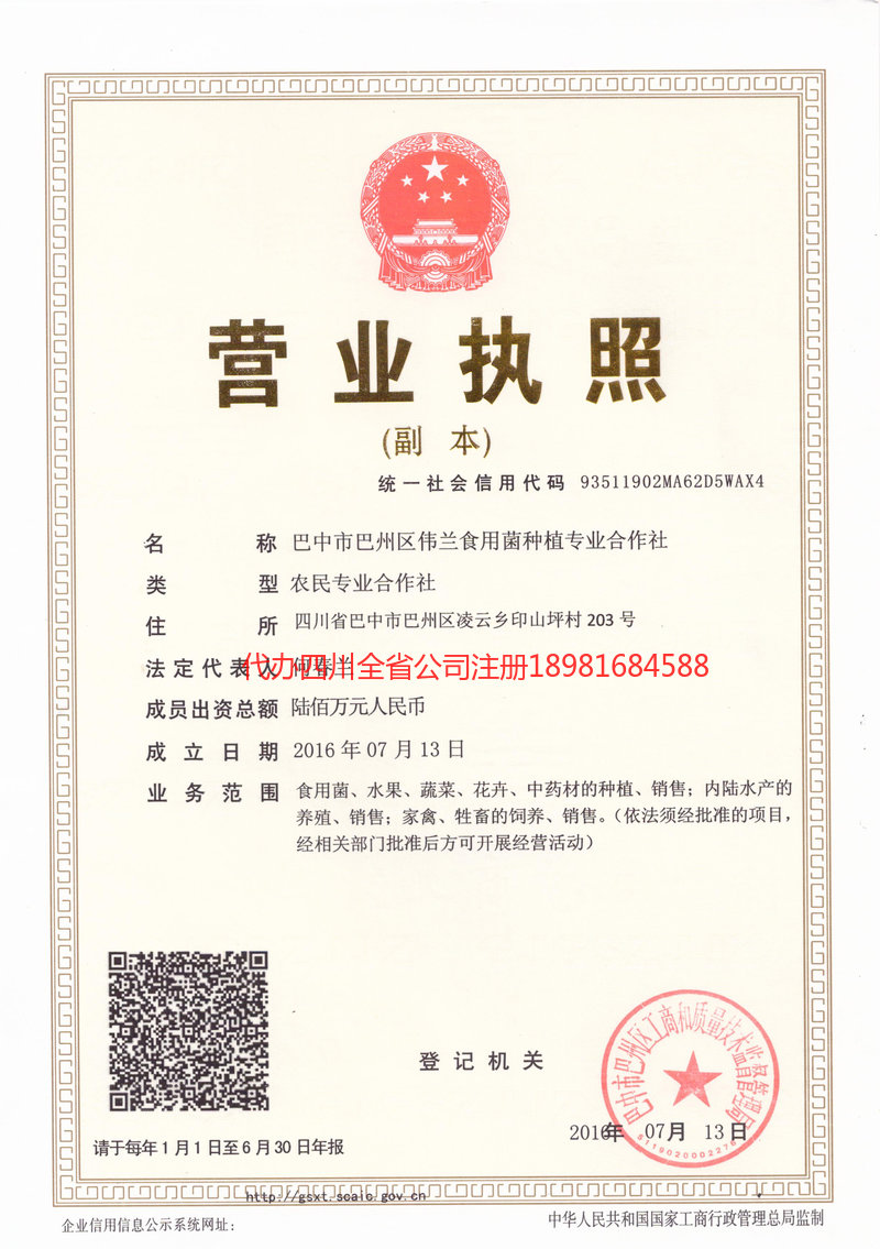 洛阳洛阳伟兰食用菌种植专业合作社